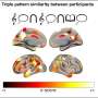 Music evokes story-like brain activity beyond auditory processing, brain imaging shows