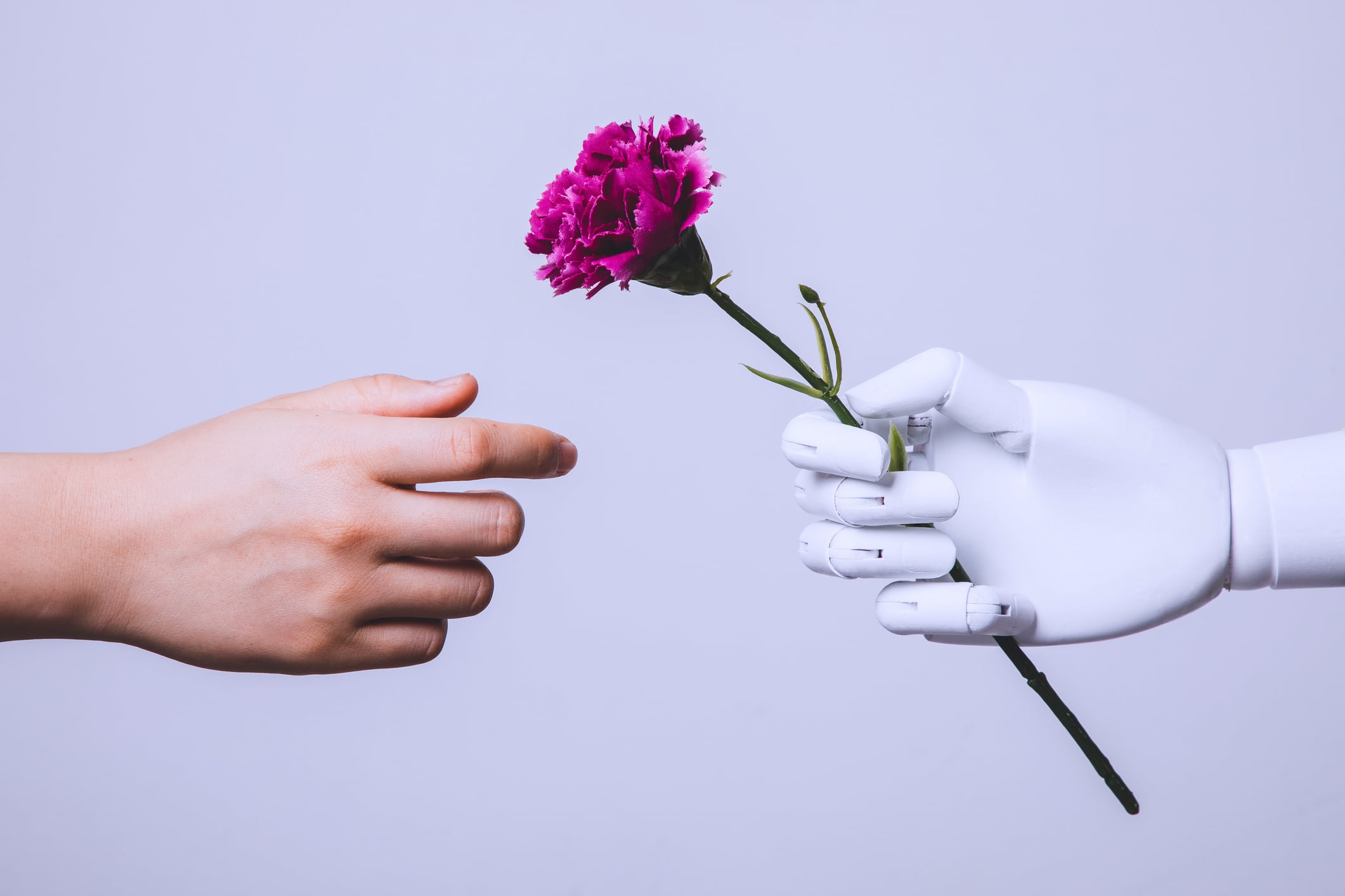 An AI companion company is hiring a human therapist
