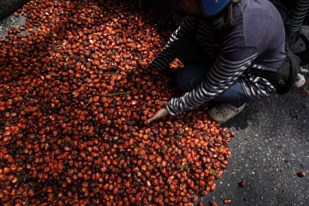 JCorp hits back at Indonesian forest fire claims, says plantation ties ended years ago