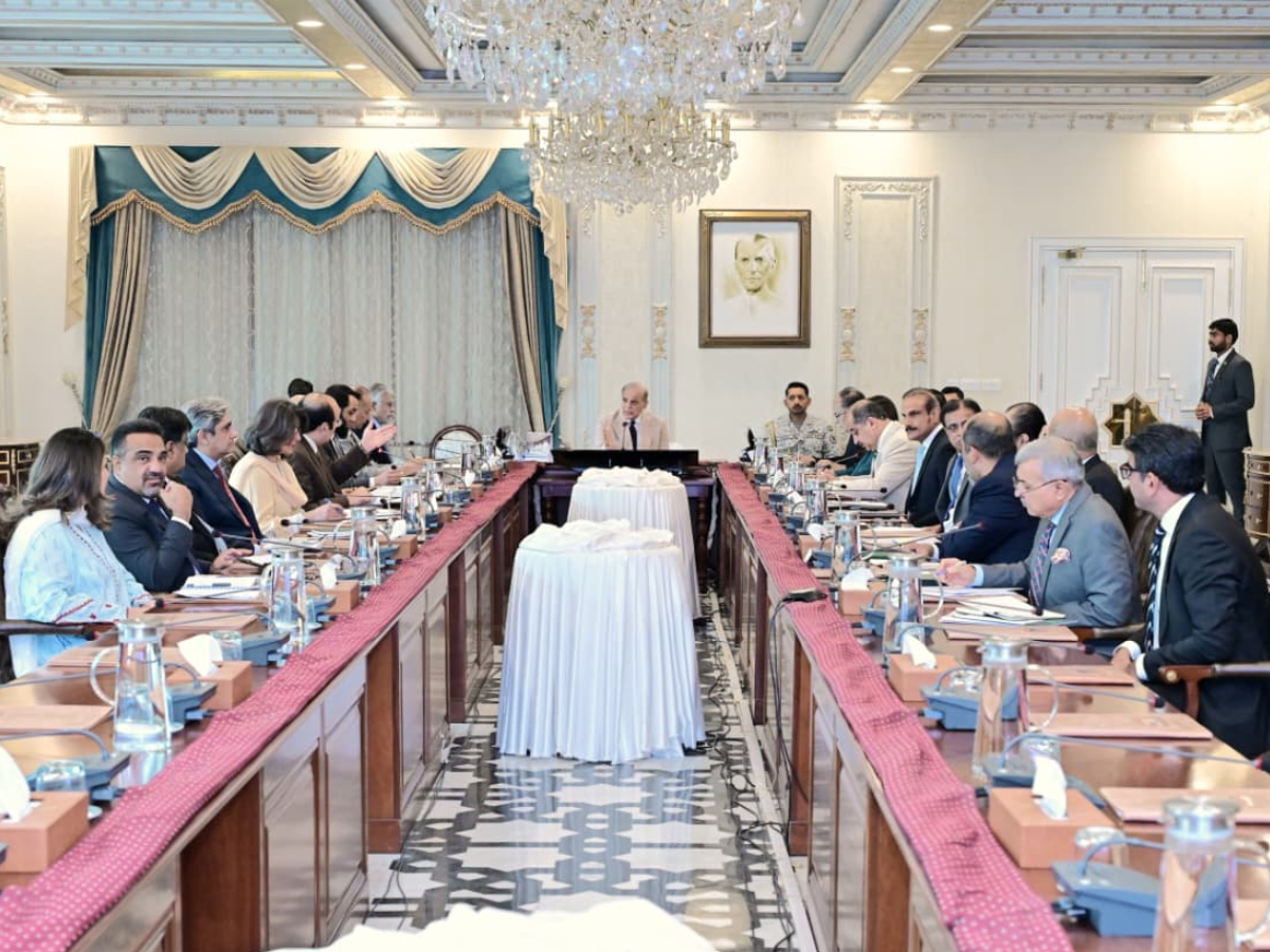 PM Shehbaz calls for effective measures to create jobs for youth