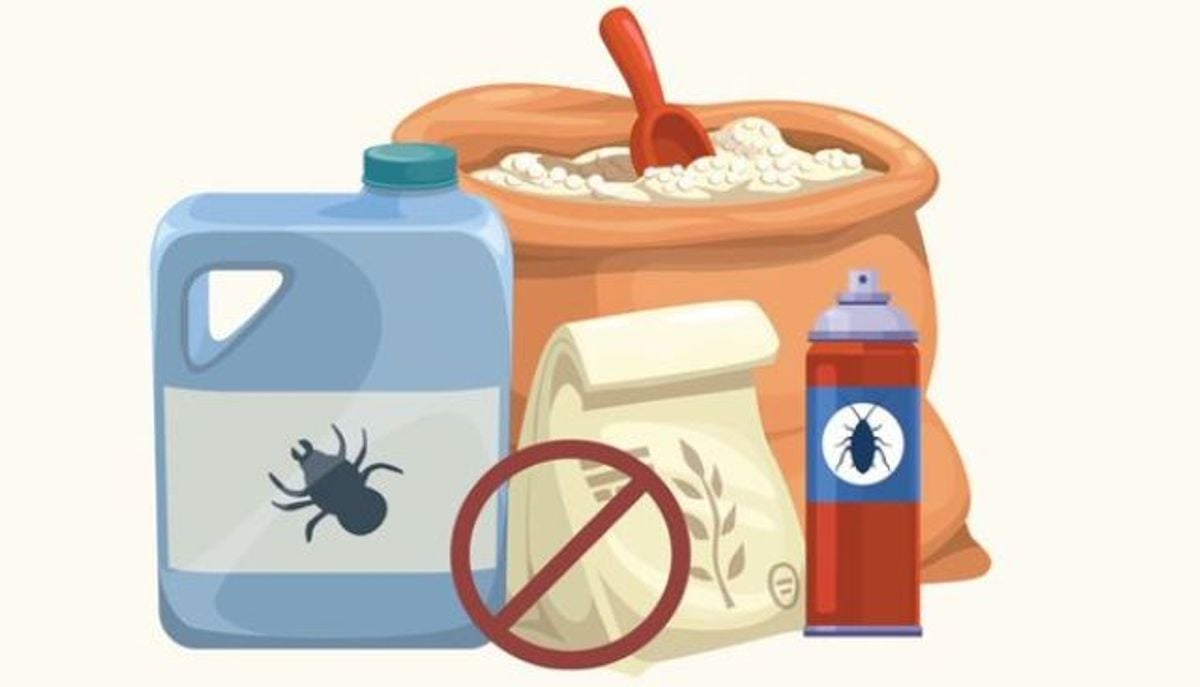 Saudi Food and Drug Authority issues guidelines for safe pesticide storage