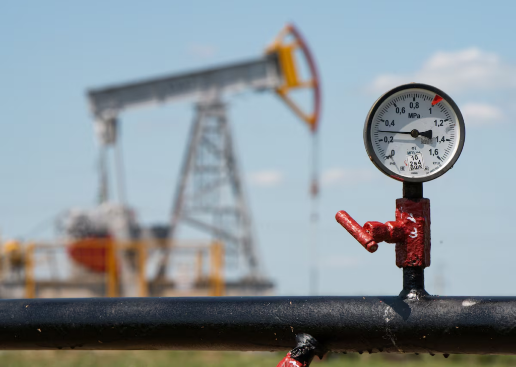 Tanzania announces first gas discovery in more than 10 years