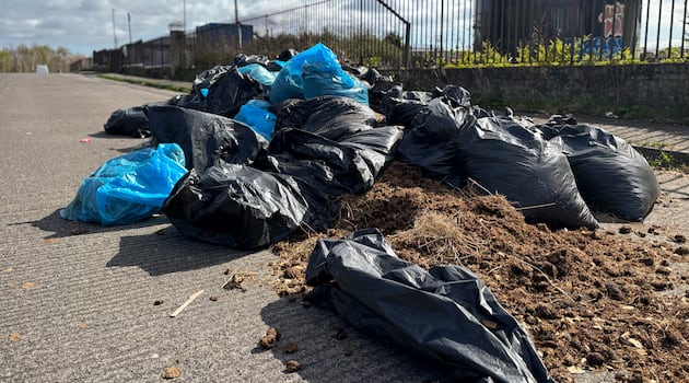 Horse manure problems continue with bags dumped around Dublin suburbs