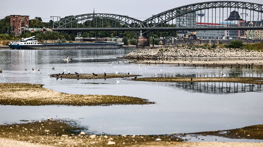 Inflation: Low water levels on the Rhine can apparently drive inflation upwards