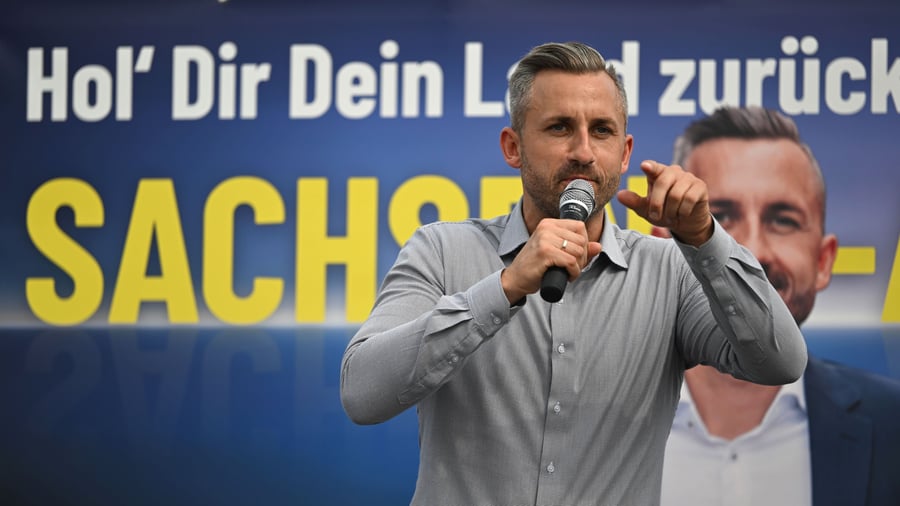 AfD: Study confirms billion-euro gap in AfD Saxony-Anhalt's program