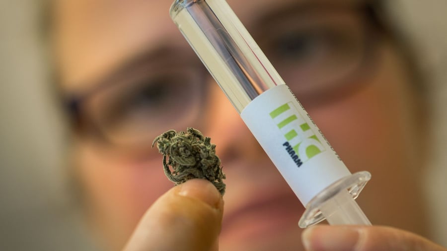 THC in medicine: cannabis active ingredient helps traumatised people
