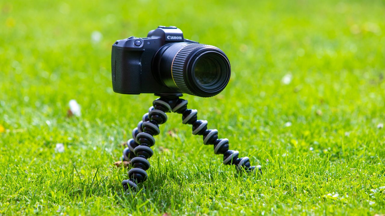 Time to be more careful? Research says 22% of us leave our cameras or phones unattended in public to film or photograph ourselves