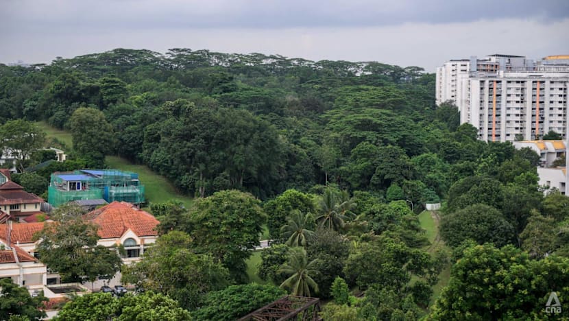 HDB cuts 1,200 planned homes, retains more greenery at Maju Forest and Gillman Barracks after public feedback