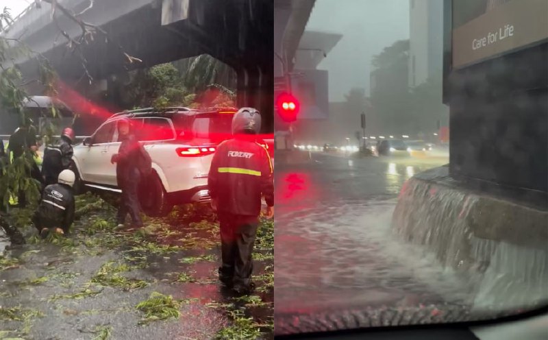 Heavy rain causes fallen trees, flash floods in several areas [WATCH]