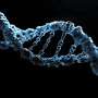 Japan's genome-editing law sets a global ethics challenge