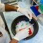 Nature-inspired additive could help protect living cells during freezing and thawing
