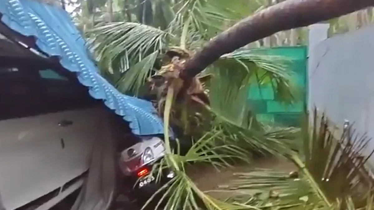 Cyclone Arnab Leaves 5 Dead In Andhra Pradesh, Uproots Thousands Of Trees & Electric Poles