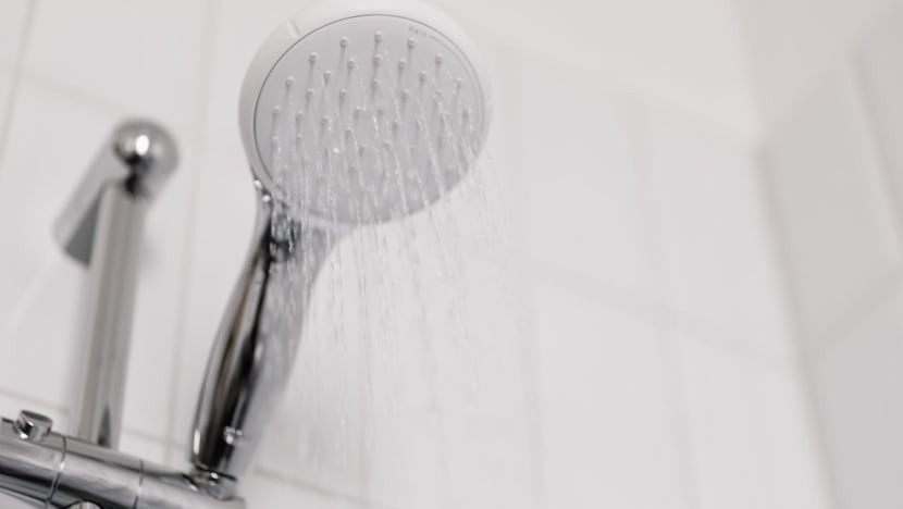 Man, 20, gets probation after twice trying to film older sister showering