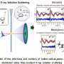 Same radical, different paths: X-ray snapshots reveal how neighboring molecules shape its movement