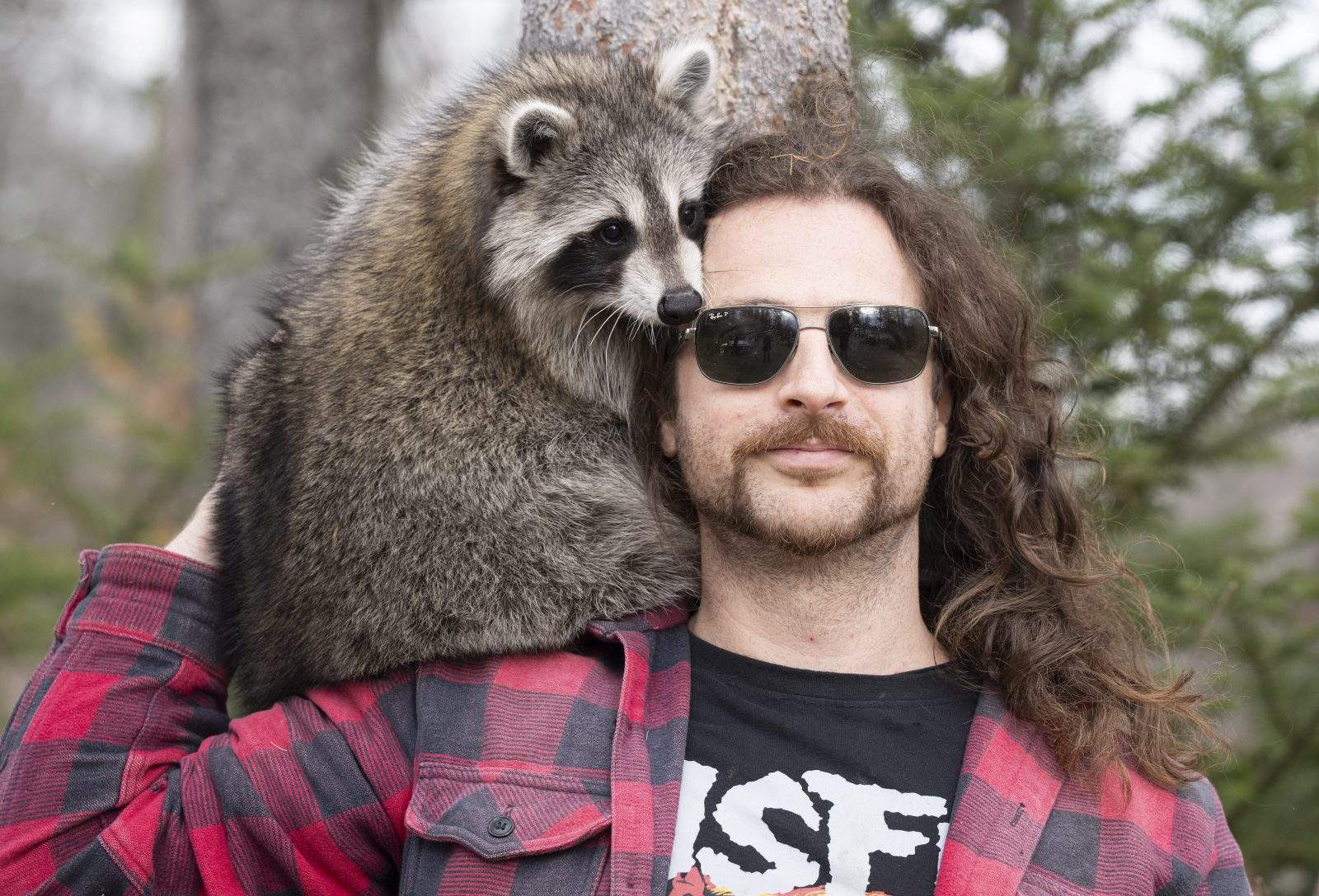 Montreal’s ‘raccoon guy’ collected over $110,000 in cryptocurrency fees