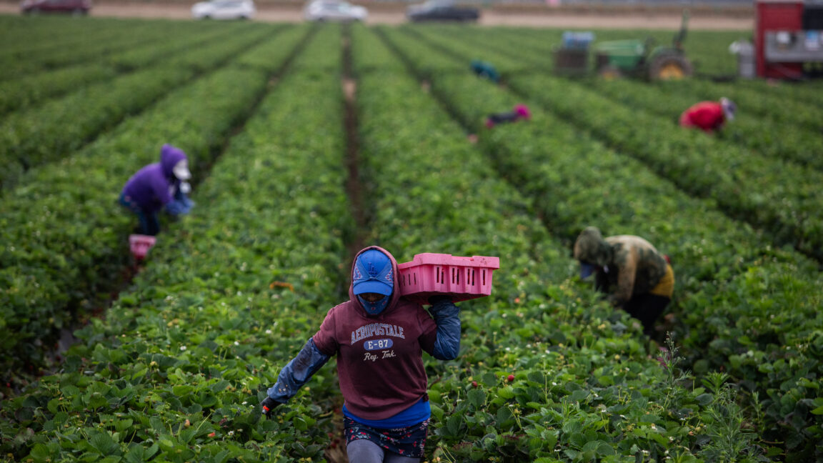 As temperatures get hotter, pesticides are more dangerous to farmworkers