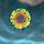 Immune changes linked to diabetes could guide development of new cancer treatments