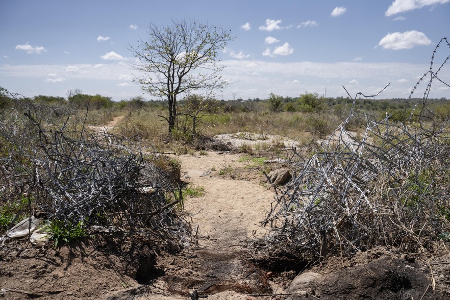 Border? What border? This is what South Africa’s frontier with Zimbabwe looks like