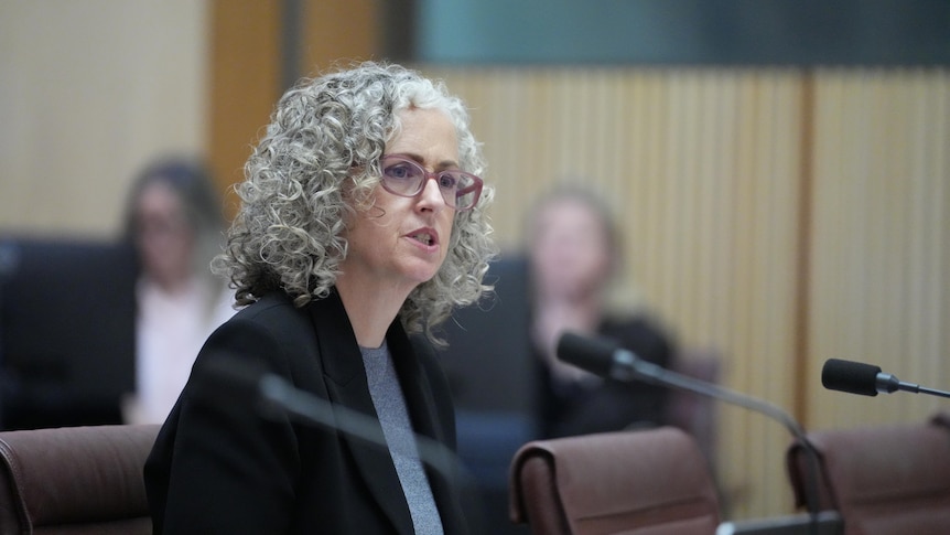 Child care sector faces further changes after shocking abuse exposed