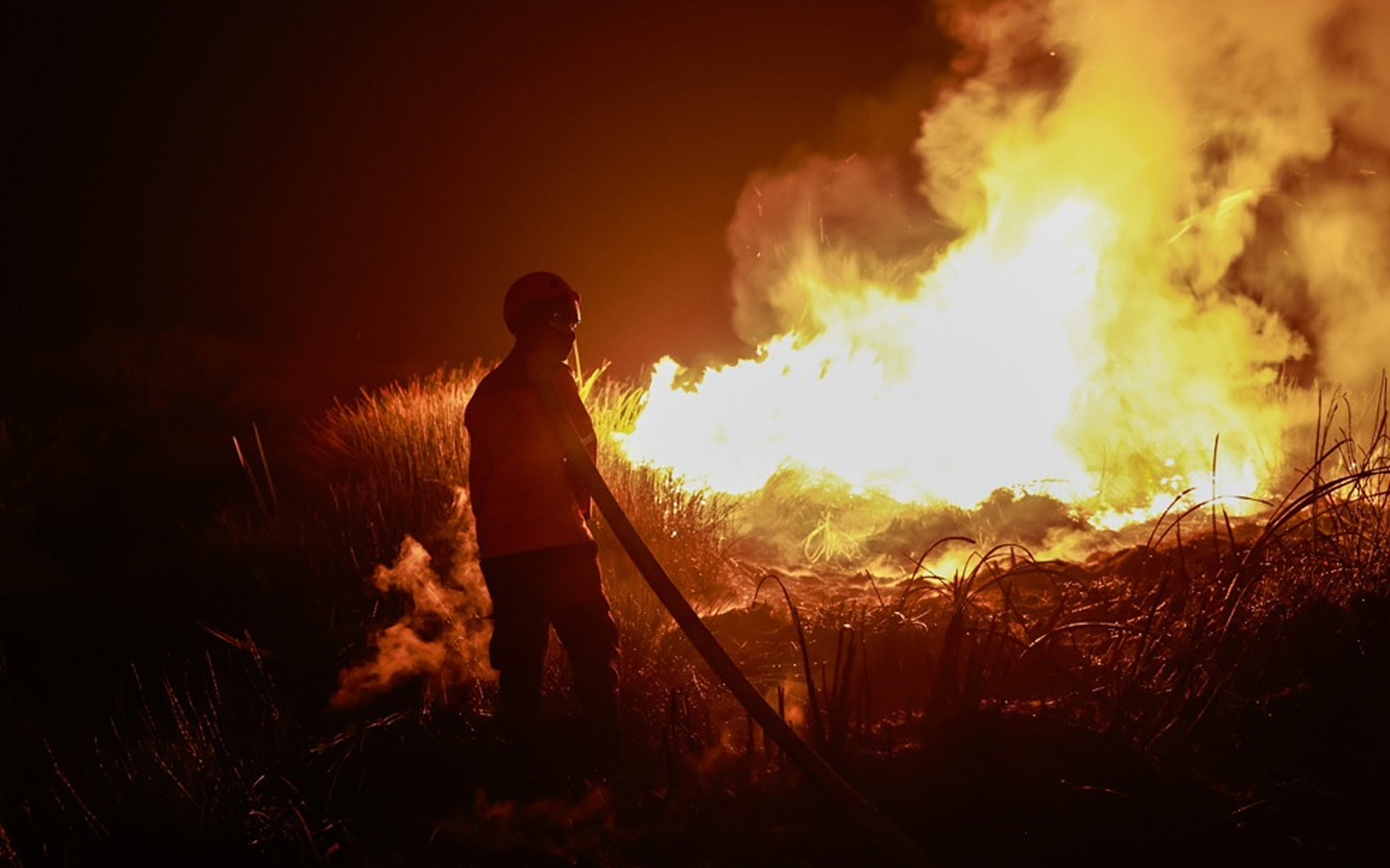 Indonesian police probe 97 corporations over forest fires, 20 named as suspects