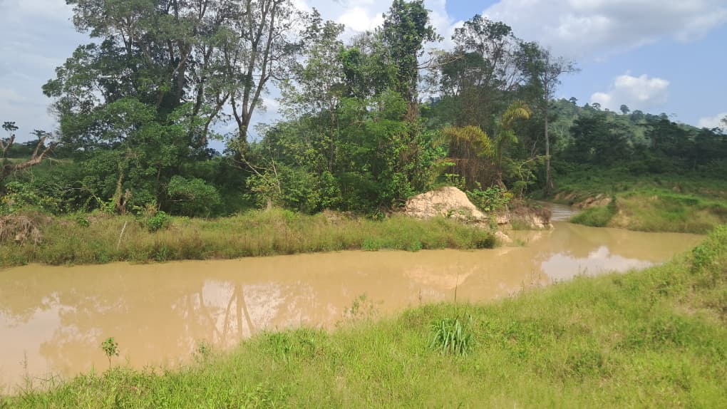 Are illegal miners stronger than the military? – Awula Serwah asks