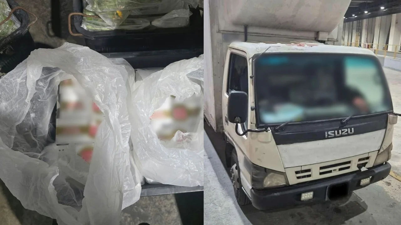 Over 800 cartons of smuggled cigarettes found hidden in vegetable lorry entering Singapore