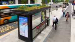 Mini-gardens for bees on bus stop roofs approved