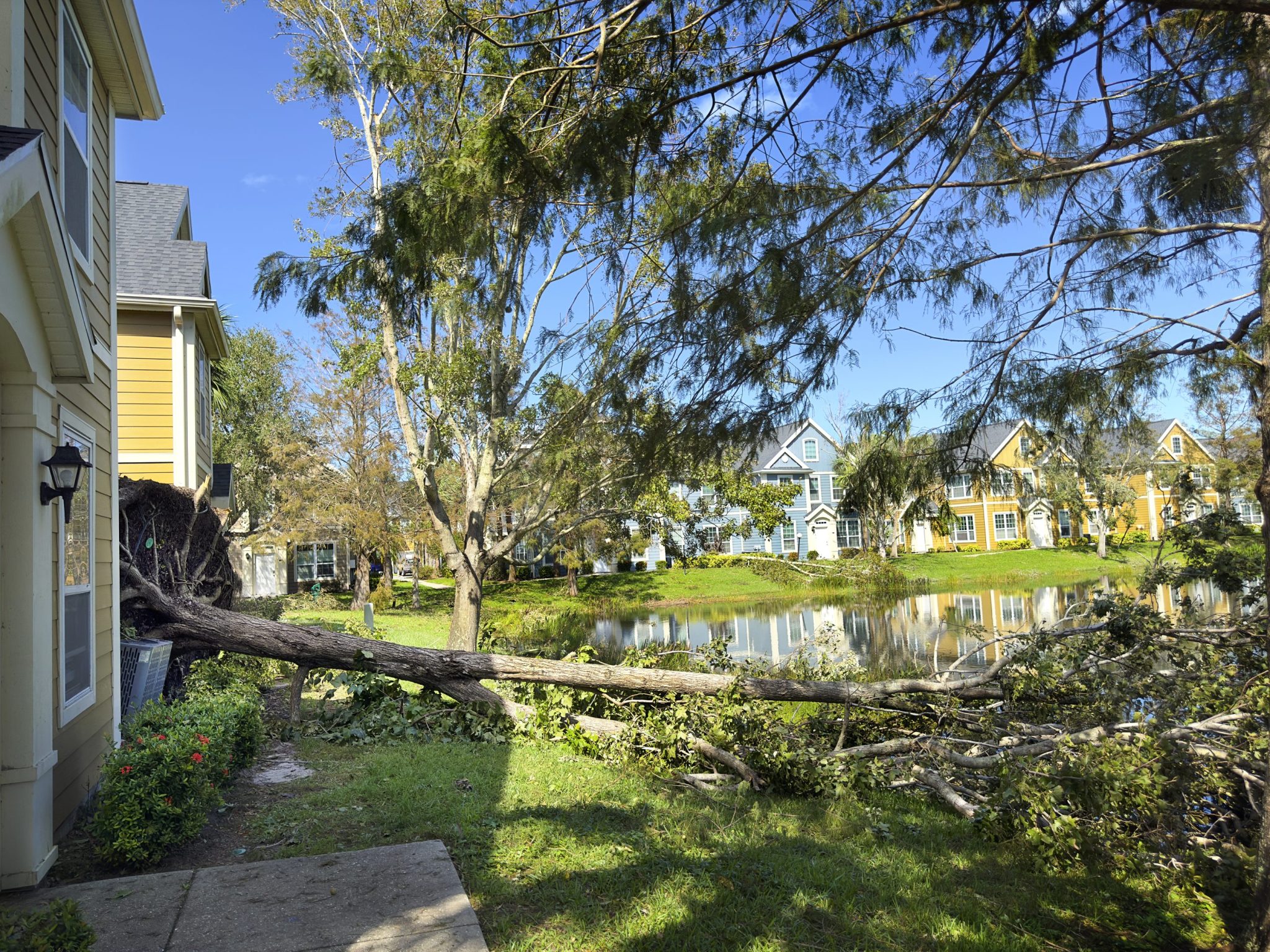 Does home insurance cover storm damage?
