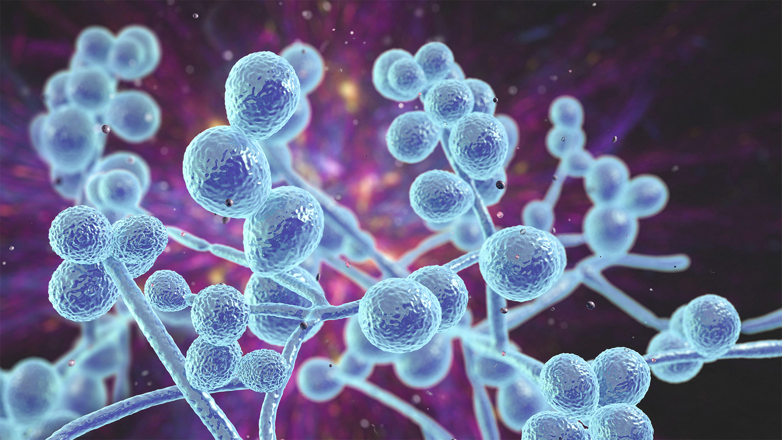 CDC Says These Superbugs Kill 50,000 Americans Per Year