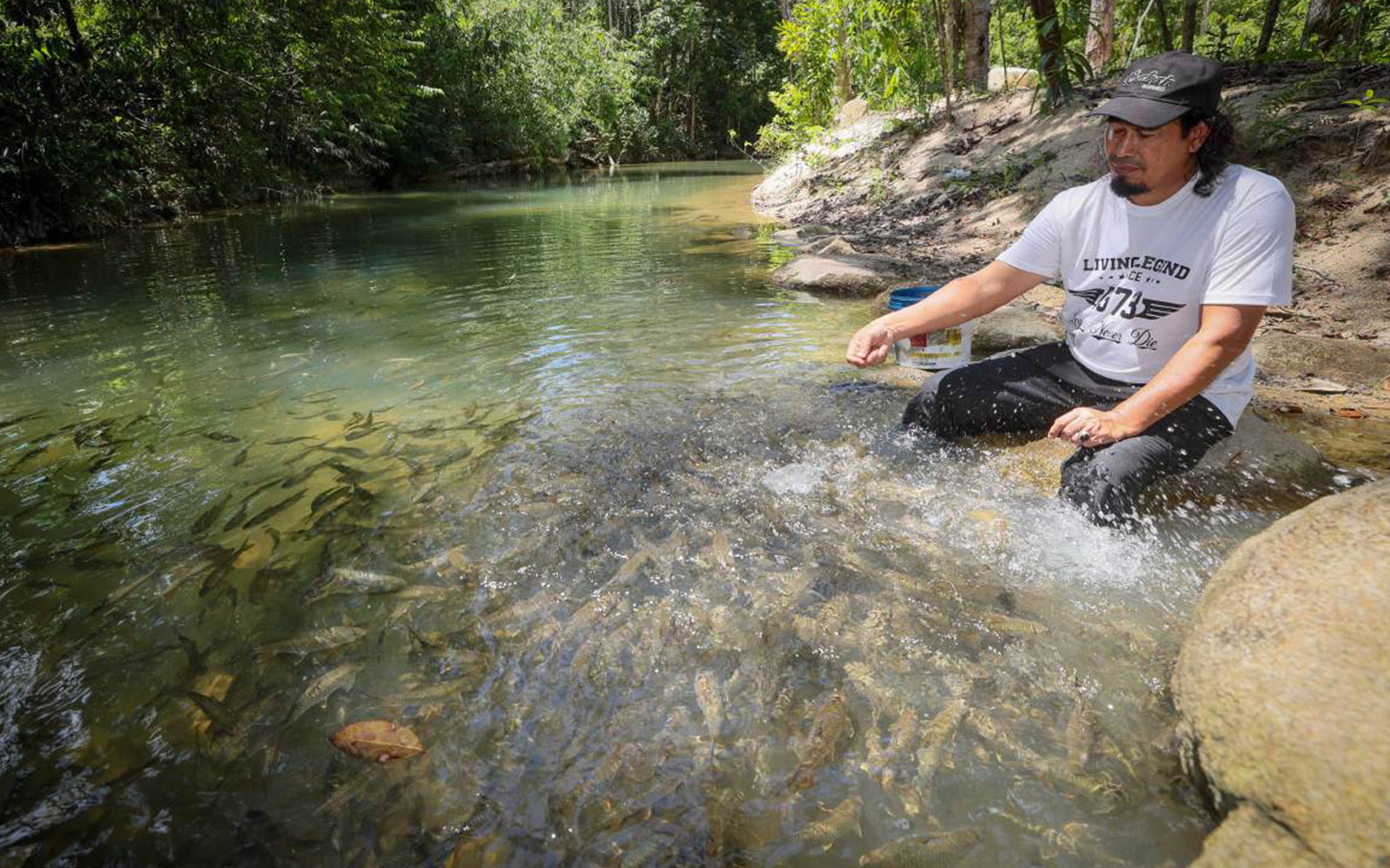 The man who earned the trust of Sungai Koh’s wild mahseer