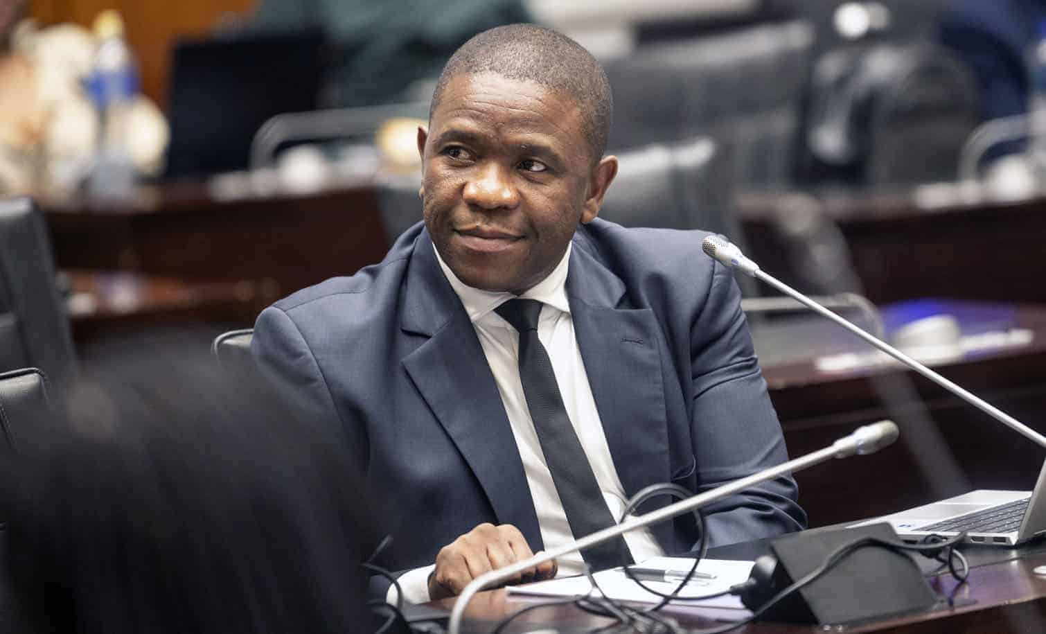 Mkhwanazi gets backing for Hawks top job amid crime-fighting push