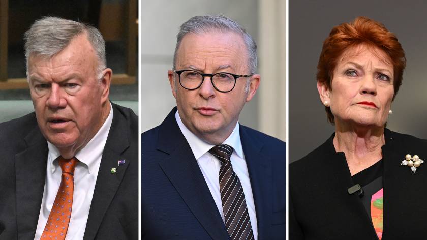 Take away Albo’s ‘problematic’ power to allocate MPs more staff — he’s incapable of using it properly