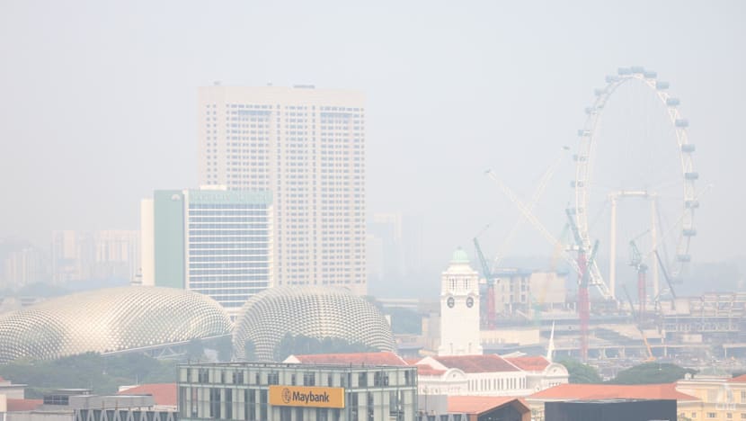 King's Counsel, 6 firms selected for haze probe panel, more may be added if necessary: MinLaw, NEA