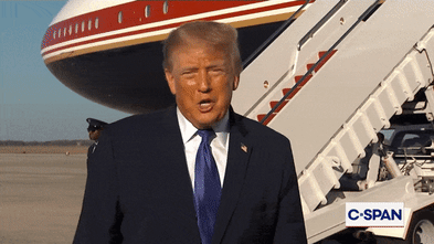Trump cancels final midterm rallies then fat shames reporter who asked why