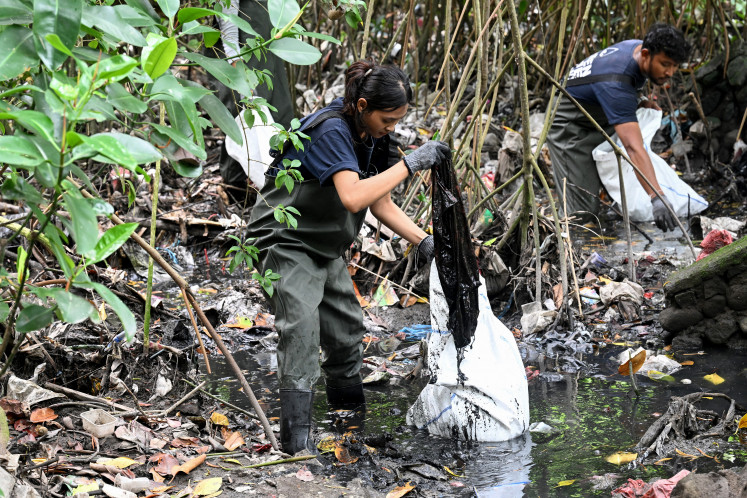 Mangroves are more than trees, they are water infrastructure