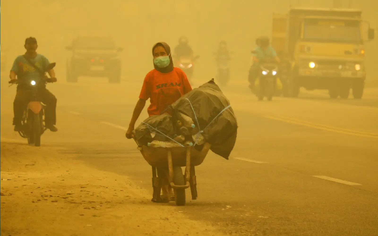 Fire pollution killed 3,560 in Indonesia in September, study finds