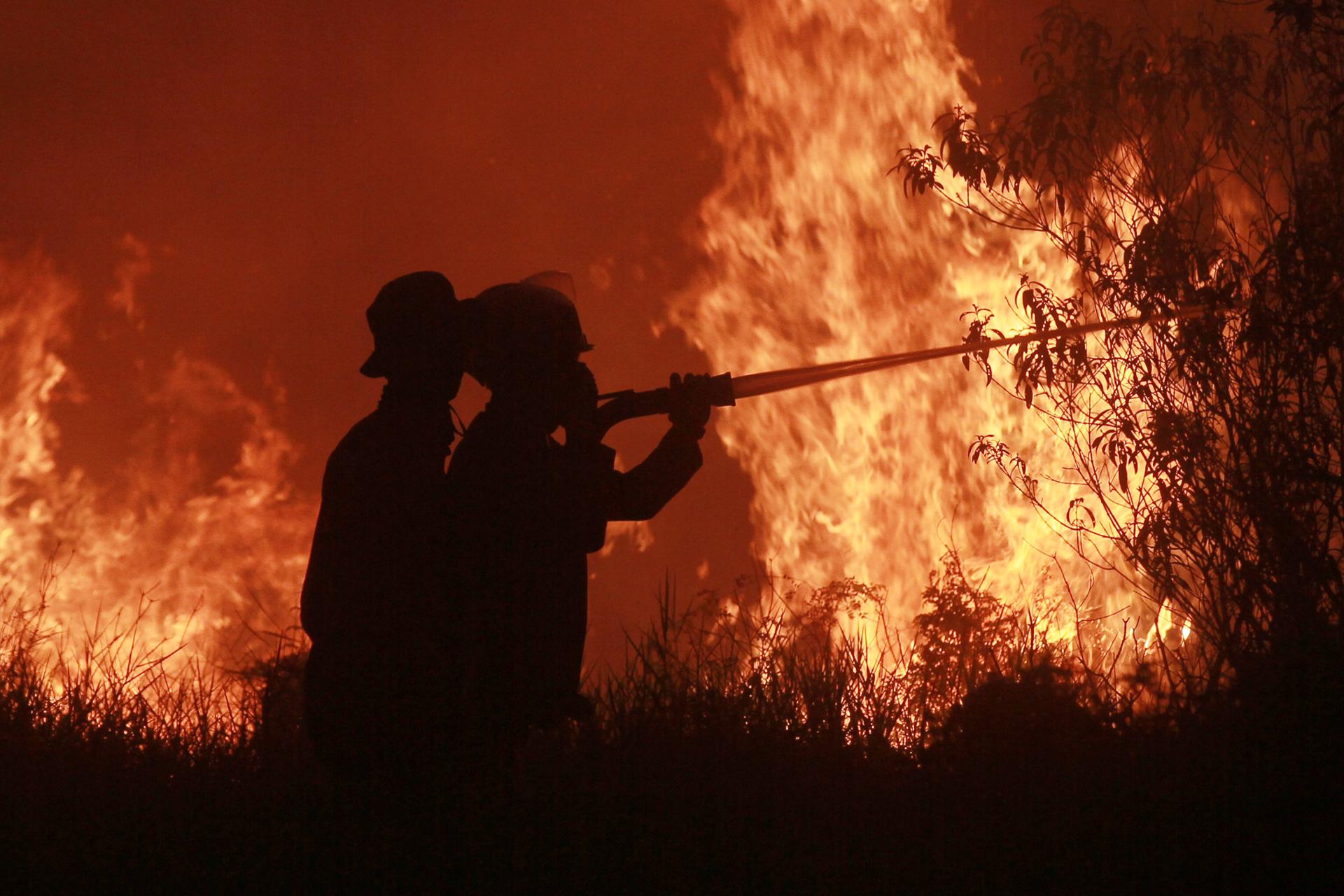 Fire pollution killed 3,560 people in Indonesia in September: report