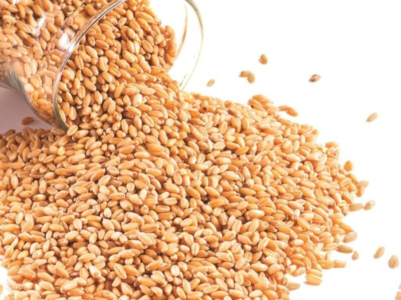 Wheat heads for ninth weekly loss despite US export boost