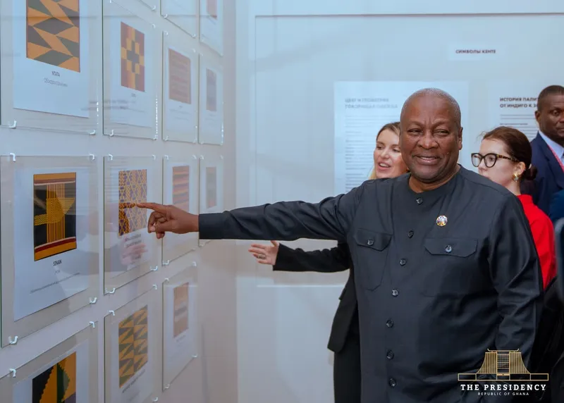 I don’t mind criticism, and I see your TikTok posts - Mahama