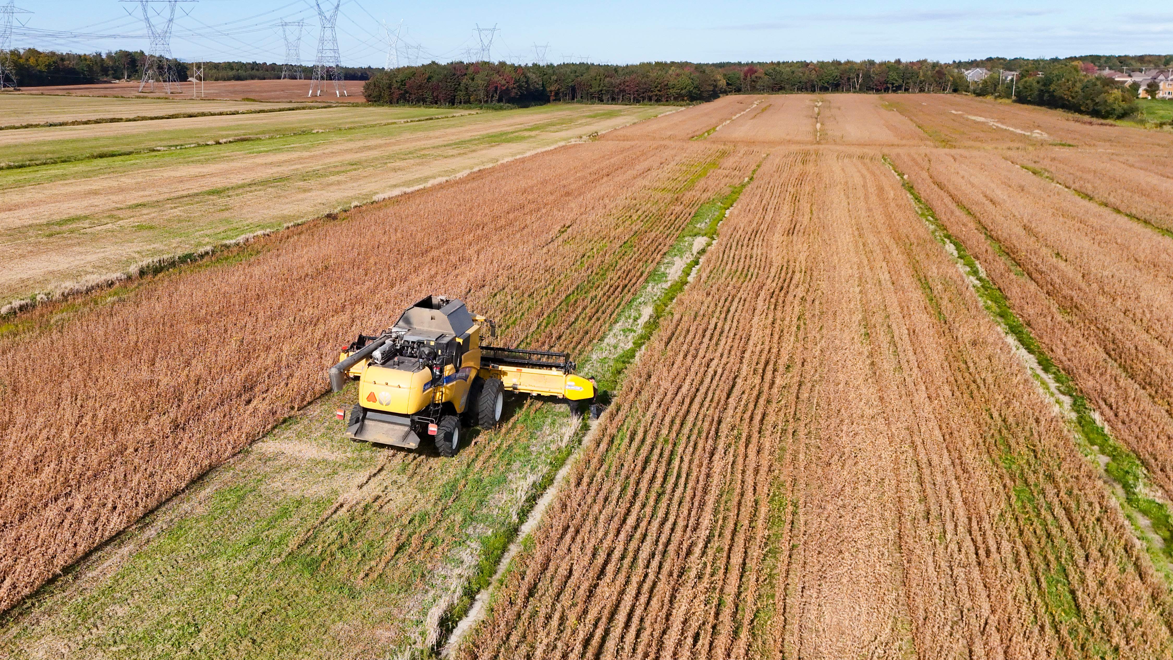 Quebec farmers say proposed high-speed rail threatens their land, livelihoods