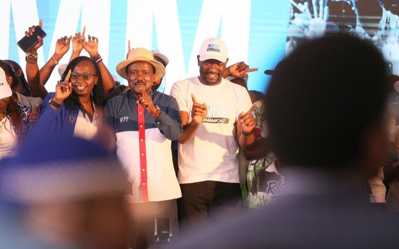 Kalonzo jeered during Linda Mwananchi party launch