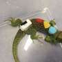 Global change may alter how ocellated lizards move between shelters, food and predators