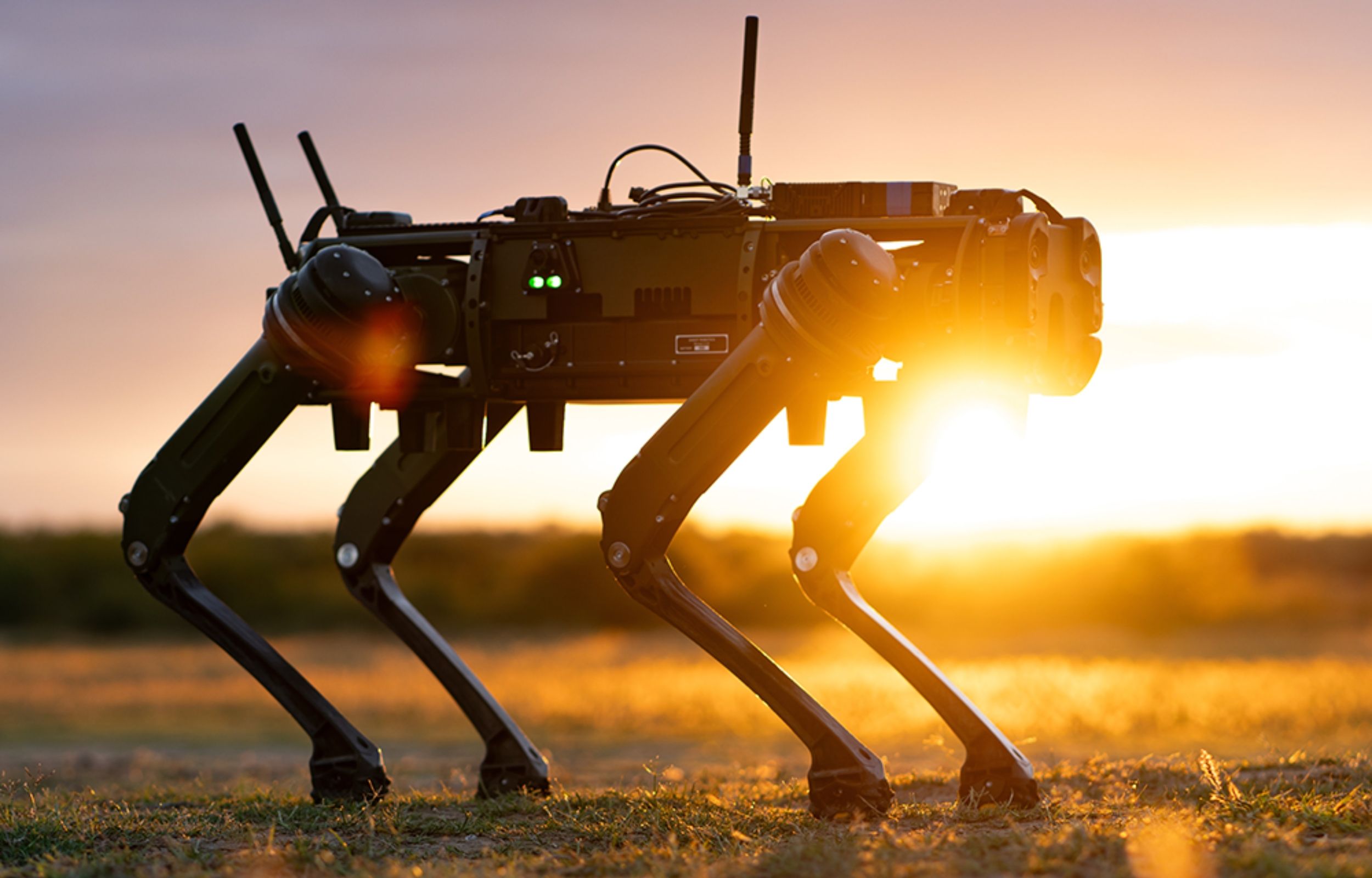 This San Francisco Startup Is Hiring Humans to Walk Robot Dogs for $20 an Hour. No Experience Required.