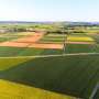 Crop diversification protects fields from extreme weather and boosts productivity
