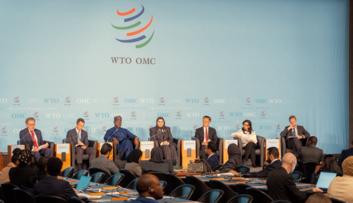 Qatar urges stronger international support for LDCs to hit 2031 target