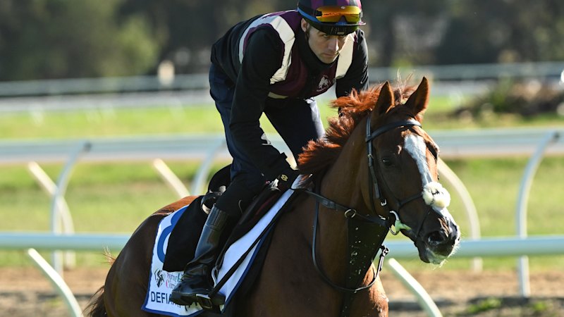 Another shock scratching three days out from Melbourne Cup