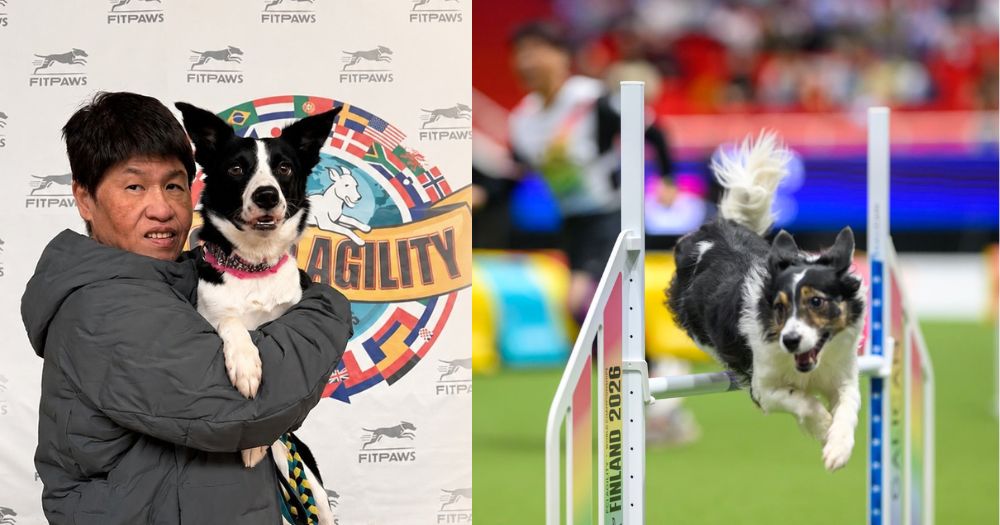 S'porean woman, 60, & border collie place 5th at world championship in Finland