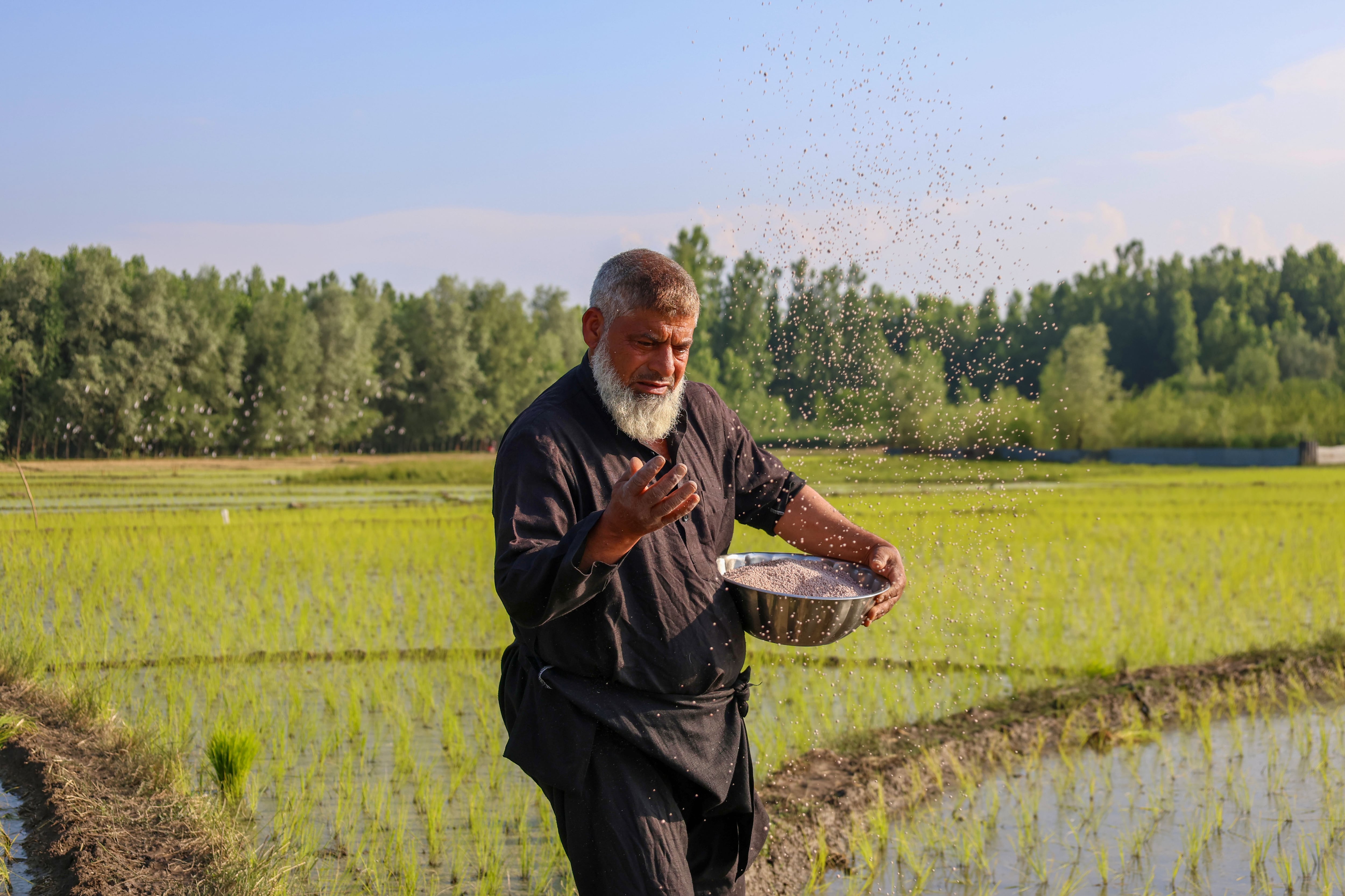 Middle East fertiliser exports decline by 70% as Iran war disrupts supplies