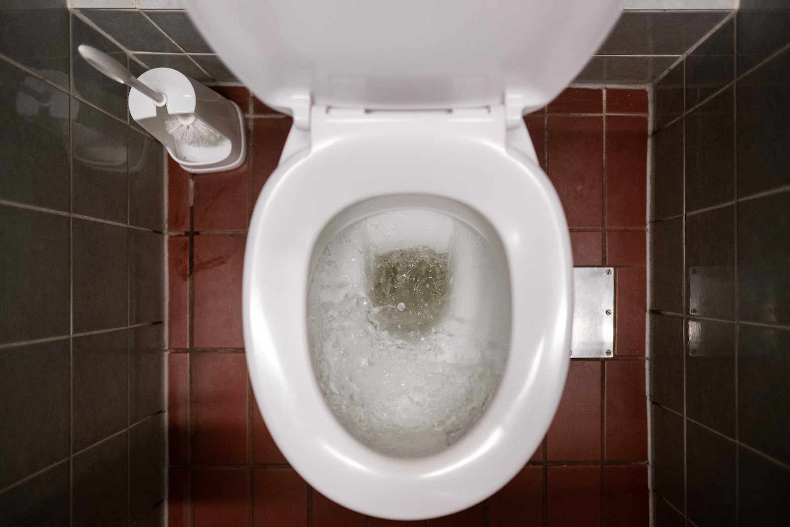 4 things to know about cyclospora and climate change