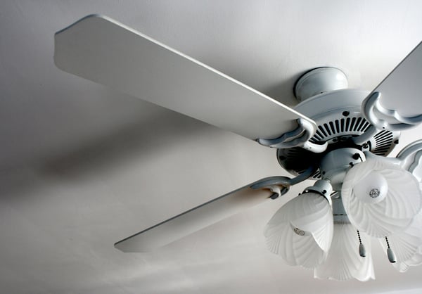 The 5 quietest ceiling fans, according to Consumer Reports
